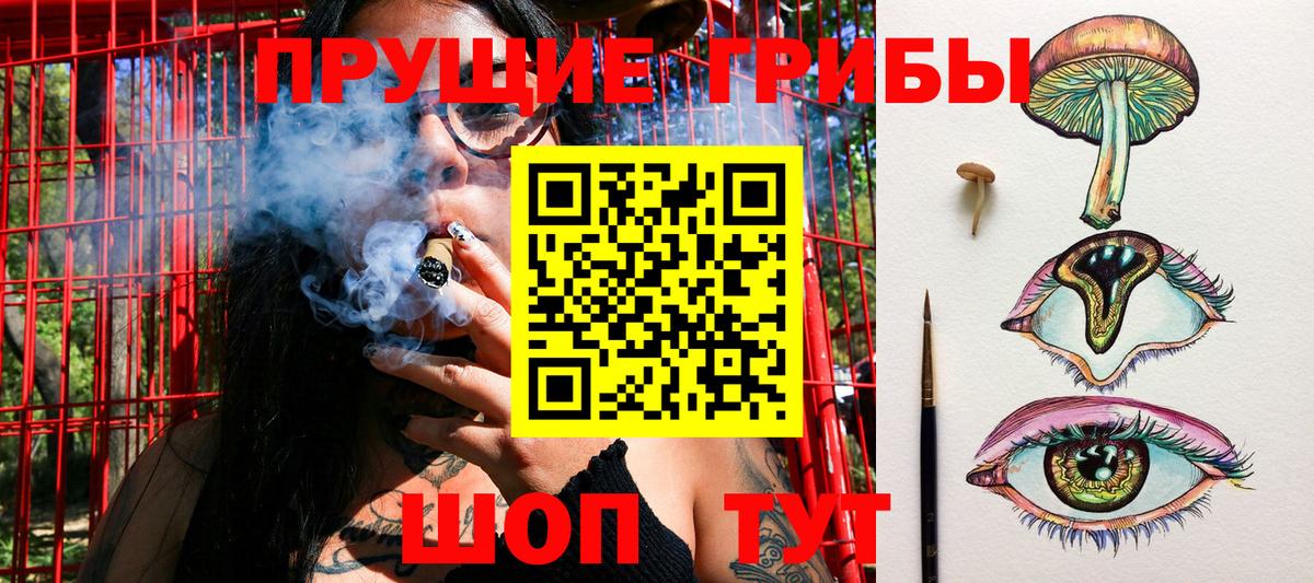 Галлюциногенные грибы Psilocybine cubensis Удомля